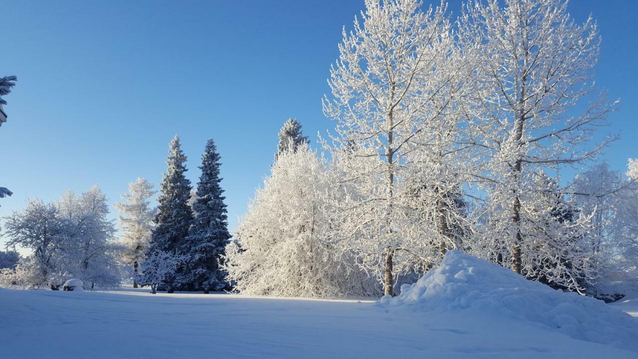 Hotelli Joentalo Tornio Buitenkant foto